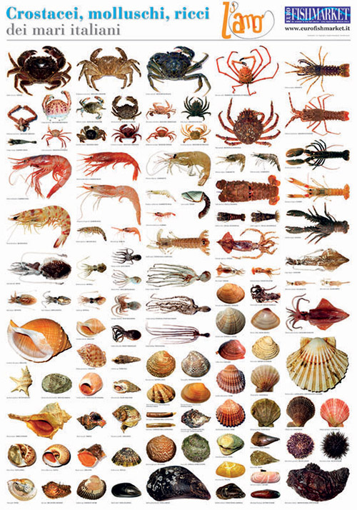 Poster-crostacei-lamo.jpg